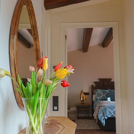 아파트 Loft With Seaview Mediterranean Coast On Large Estate Near Barcelona With Pool And Wellness 산 안드레스 데 예바네라스